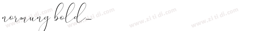 normung bold字体转换